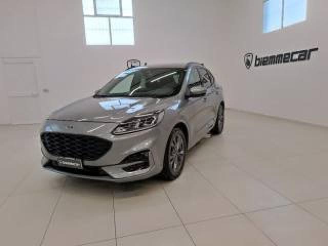 Ford Kuga 2.0 Ecoblue 120 Cv Aut. 2wd St-Line I.e  