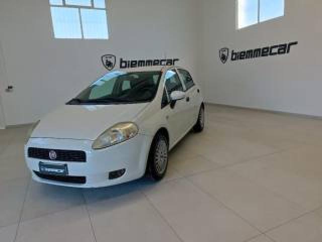Fiat Punto 1.3   Mjt  5 Porte Lounge 