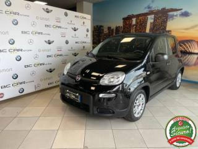 Fiat Panda 1.0 Firefly 70cv S&s Hybrid 