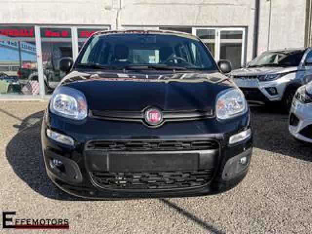 Fiat Panda 1.2 Easypower  Neopatentati 