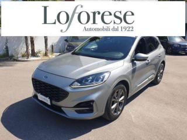 Ford Kuga 1.5 Ecoblue 120 Cv 2wd St-Line 