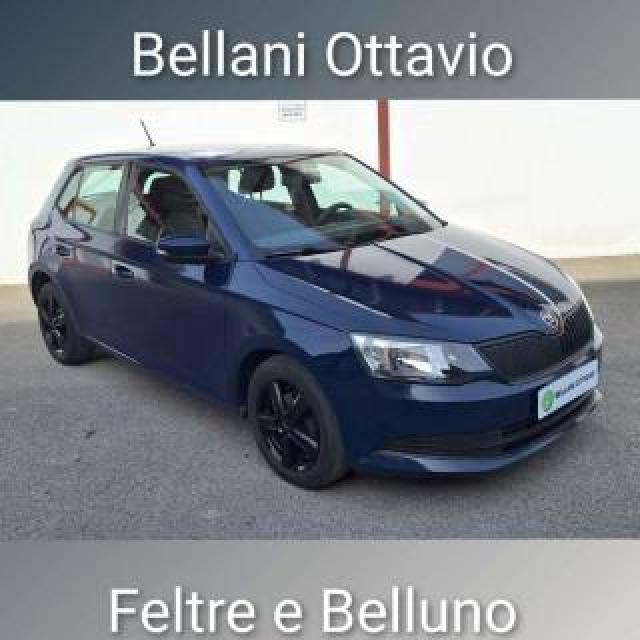 Skoda Fabia 1.4 Tdi 75 Cv Executive 