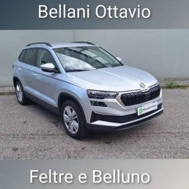 Skoda Karoq 2.0 Tdi Scr 4x4 Dsg Executive 
