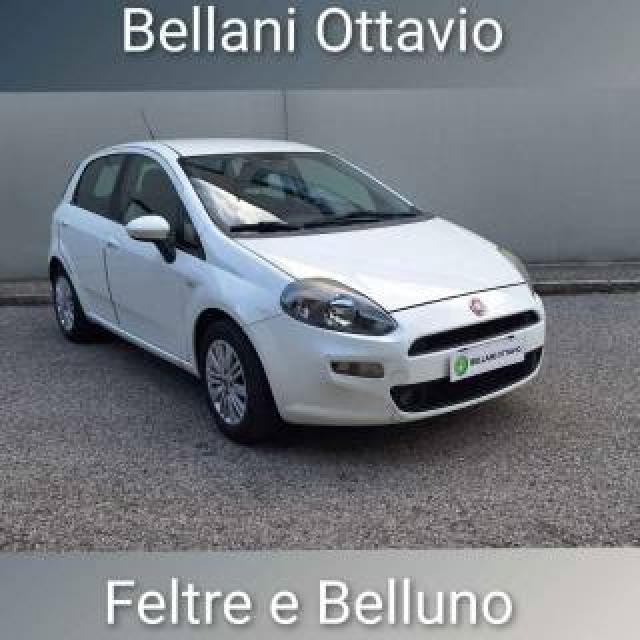 Fiat Punto 1.3 Mjt Ii S&s 85 Cv 5 Porte Eco Lounge 