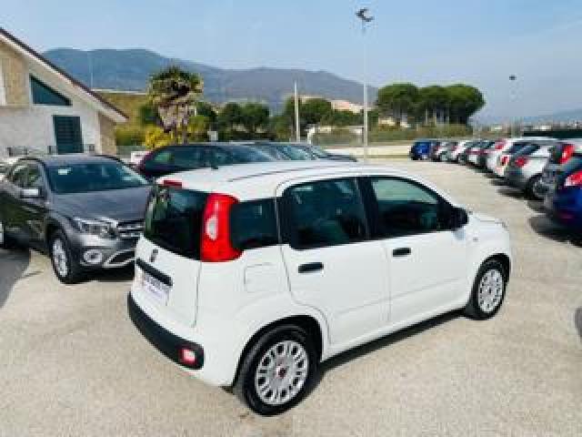 Fiat Panda 1.2 Easypower Easy Gpl 69cv Condizioni Eccelse!!! 