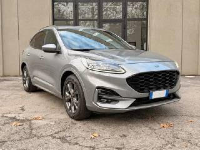 Ford Kuga 1.5 Ecoblue 120 Cv 2wd St-Line 