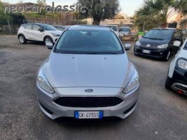 Ford Focus 1.5 Tdci 95 Cv Start&stop Sw Business 