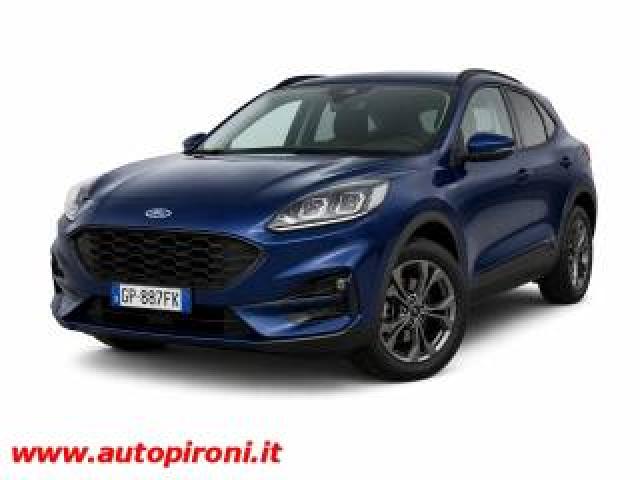 Ford Kuga 2.0 Ecoblue 120 Cv Aut. 2wd St-Line 