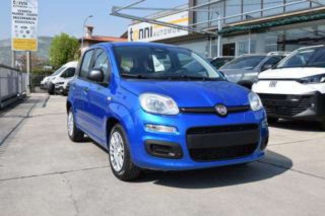 Fiat Panda 1.0 Firefly Hybrid Icon S&s 65cv 5p 