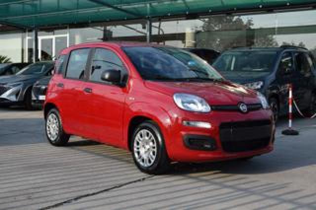 Fiat Panda 1.0 Firefly Hybrid Icon S&s 65cv *5posti* 