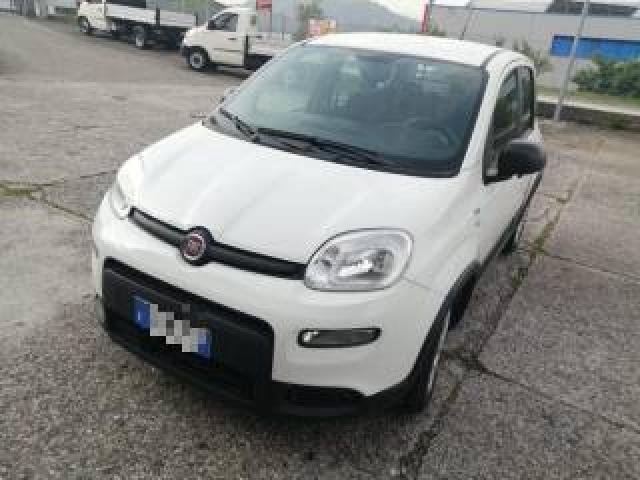 Fiat Panda 1.0 Gse S&s Hybrid Street Van 4 Posti 