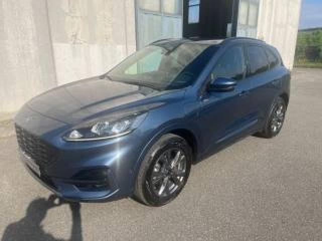 Ford Kuga 2.5 Plug In Hybrid 225 Cv Cvt 2wd St-Line 