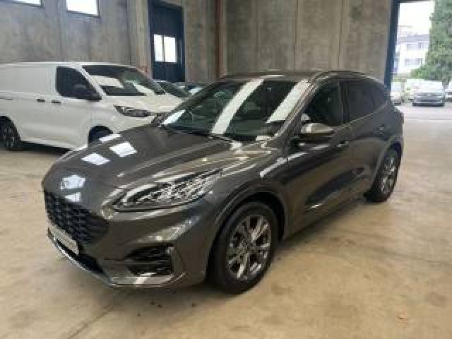 Ford Kuga 1.5 Ecoblue 120 Cv Aut. 2wd St-Line X 