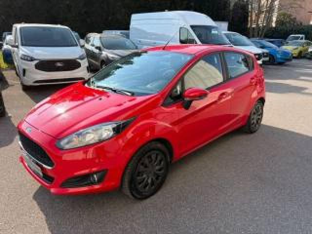 Ford Fiesta 1.2 60cv 5 Porte Business 