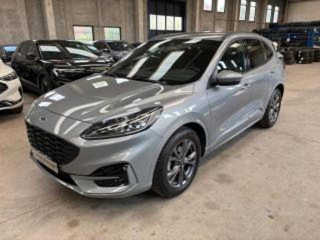 Ford Kuga 2.5 Full Hybrid 190 Cv Cvt 2wd St-Line X 