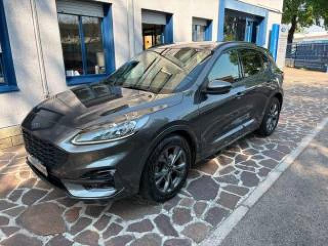 Ford Kuga 1.5 Ecoblue 120 Cv Aut. 2wd St-Line X 