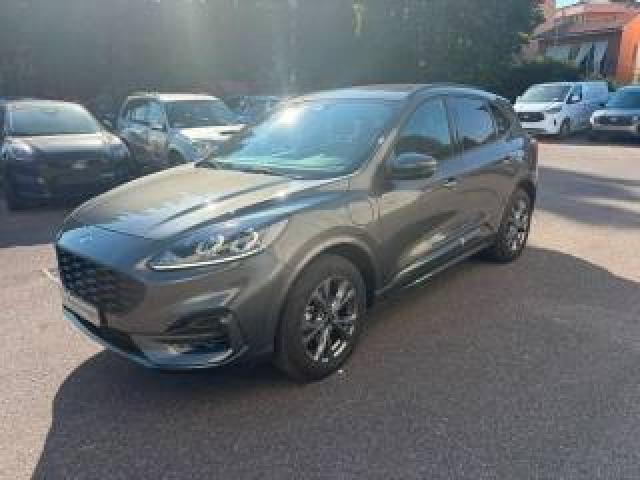 Ford Kuga 2.5 Plug In Hybrid 225 Cv Cvt 2wd St-Line 