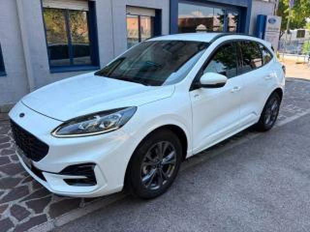 Ford Kuga 2.5 Full Hybrid 190 Cv Cvt 2wd St-Line X 