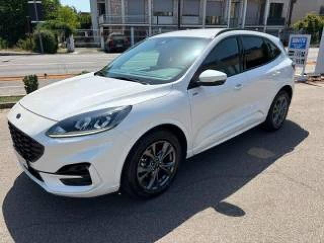 Ford Kuga 2.5 Full Hybrid 190 Cv Cvt 2wd St-Line 