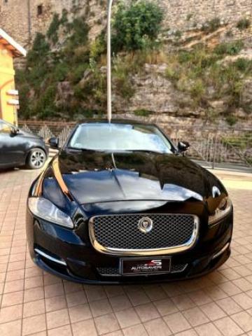 Jaguar