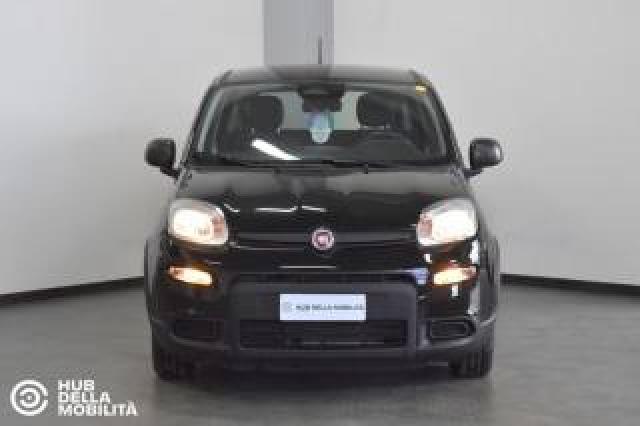 Fiat Panda 1.0 Firefly S&s Hybrid - Km 0 