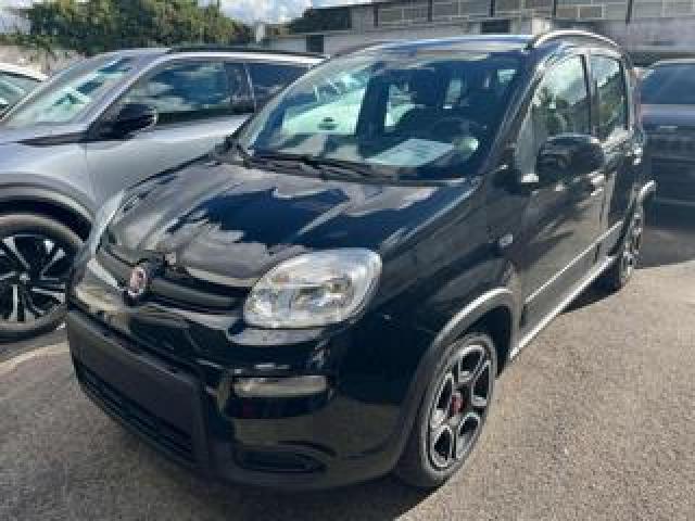 Fiat Panda City Life 1.0 Firefly S&s Hybrid  70cv 