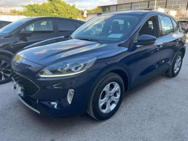 Ford Kuga 1.5 Ecoblue 120 Cv 2wd  