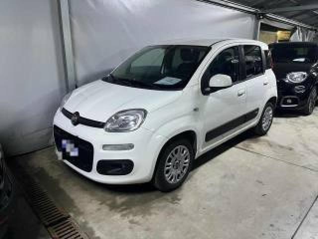 Fiat Panda 1.2 - 69cv 
