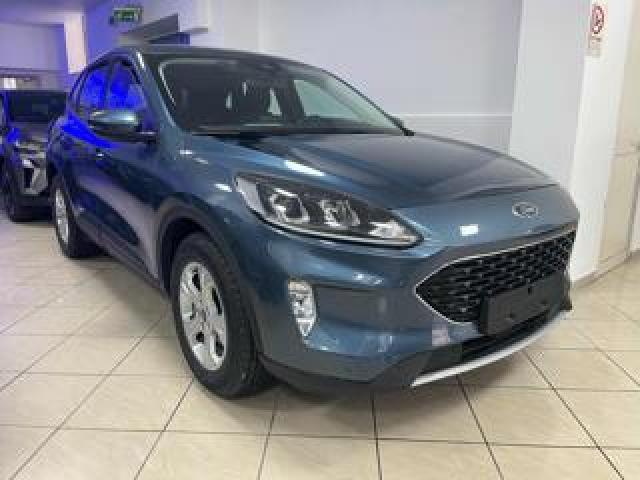 Ford Kuga 1.5 Ecoblue 120 Cv 2wd S 