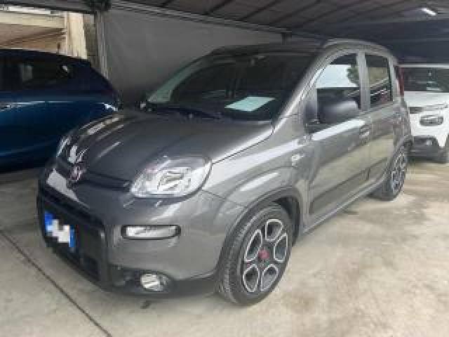 Fiat Panda Lounge 1.0 Firefly S&s Hybrid  70cv 