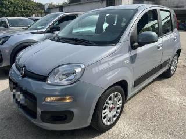 Fiat Panda 1.0 Firefly S&s Hybrid  70cv 