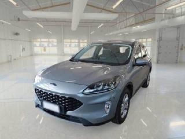 Ford Kuga 1.5 Ecoblue 120 Cv Aut. 2wd Connect 