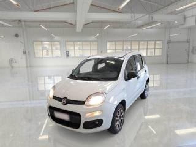 Fiat Panda 0.9 Twinair Turbo Natural Power Easy 
