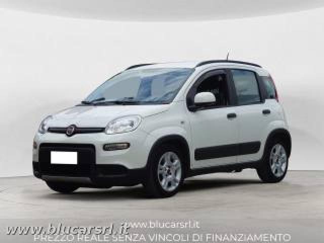 Fiat Panda 1.0 Firefly 70cv S&s Hybrid 