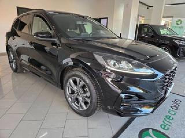 Ford Kuga 2.0 Ecoblue 120 Cv Aut. 2wd St-Line 