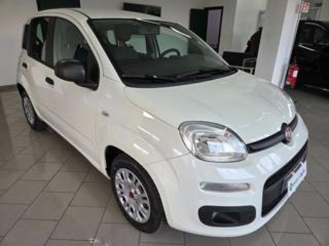 Fiat Panda 1.3 Mjt 80 Cv S&s Easy 
