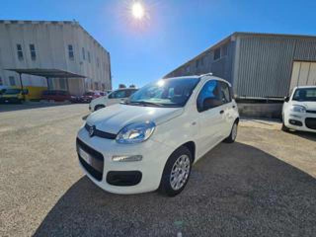 Fiat Panda 1.2 Easy Autovettura 