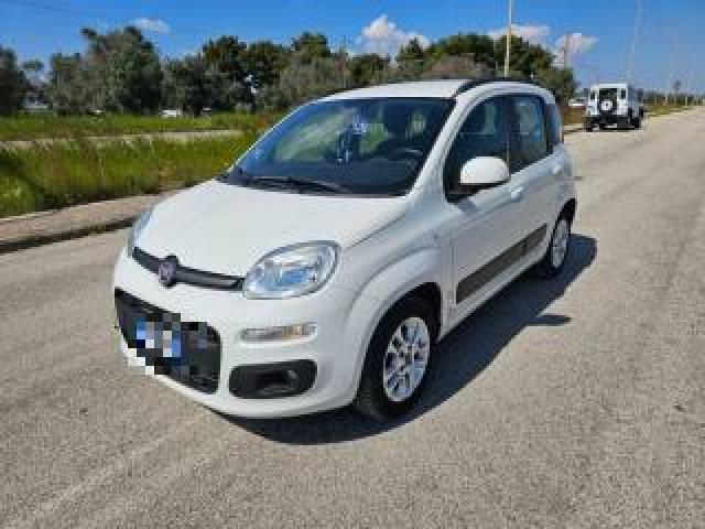 Fiat Panda 1.2 Easypower Lounge Autovettura 