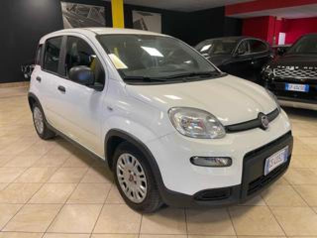 Fiat Panda 1.0 Firefly S&s Hybrid**km Certif/unicopro** 