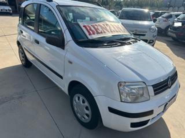 Fiat Panda 1.2 Cambio Automatico 