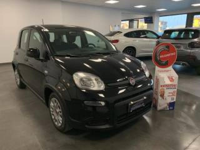 Fiat Panda 1.0 Benzina Hybrid City Life 