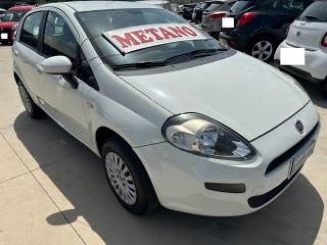 Fiat Punto 1.4 5p Natural Power Easy 