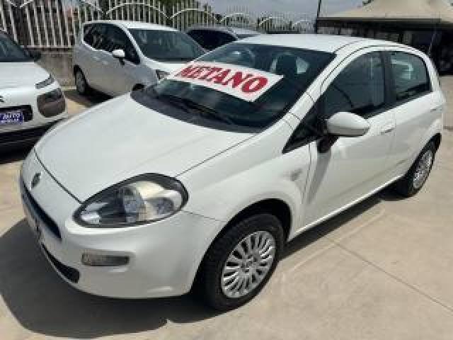 Fiat Punto 1.4 5p Natural Power Easy 