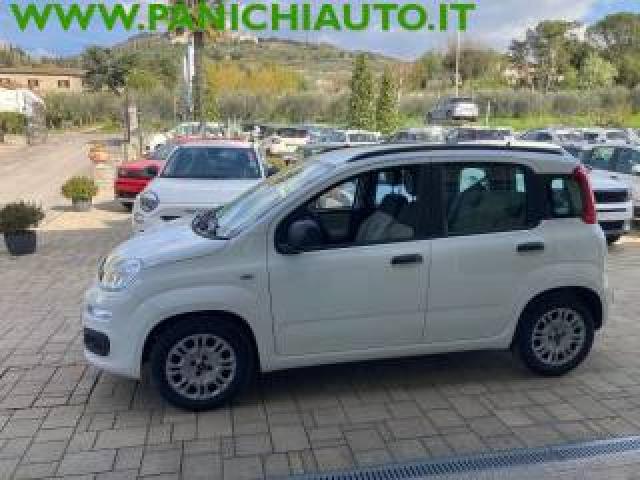 Fiat Panda 1.3 Mjt S&s Easy 