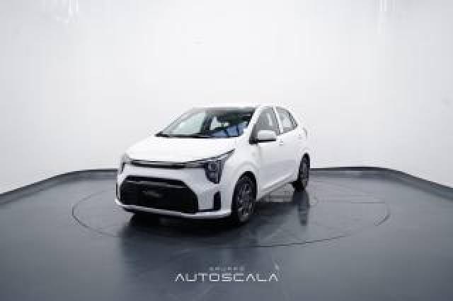Kia Picanto 1.0 12v 5 Porte Urban 