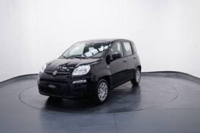 Fiat New Panda My25 1.0 Firefly S&s Hybrid #packcity 