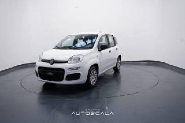 Fiat New Panda My25 1.0 Firefly S&s Hybrid 