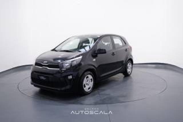 Kia Picanto 1.0 12v 5 Porte Urban  