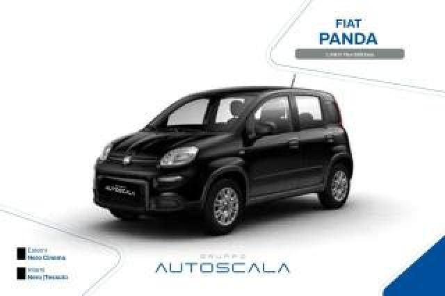 Fiat Panda 1.3 Mjt 75cv S&s Easy 