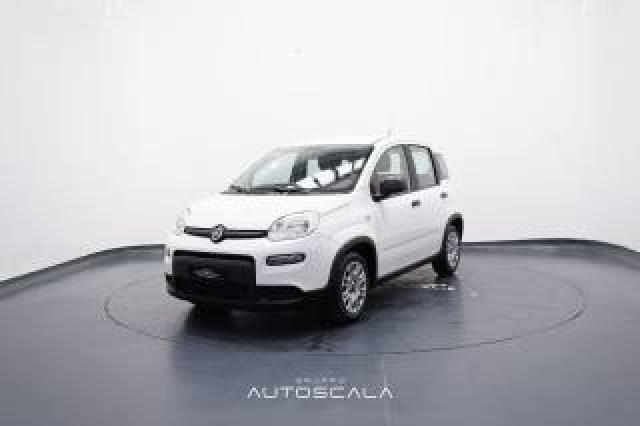 Fiat New Panda 1.0 Firefly 70cv S&s Hybrid 